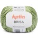 Lanas Katia Brisa Pistacho claro 60